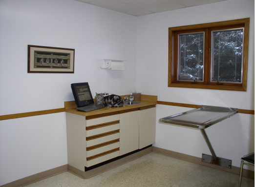 Our Exam Room