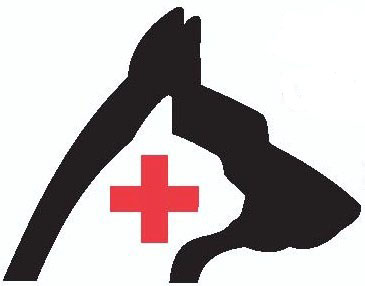 Animal Emergency Clinic