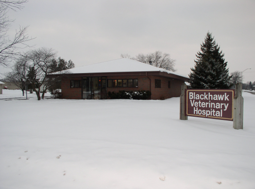 Our Hospital