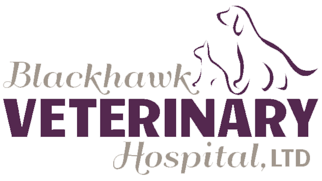 Blackhawk Veterinary Hospital Logo